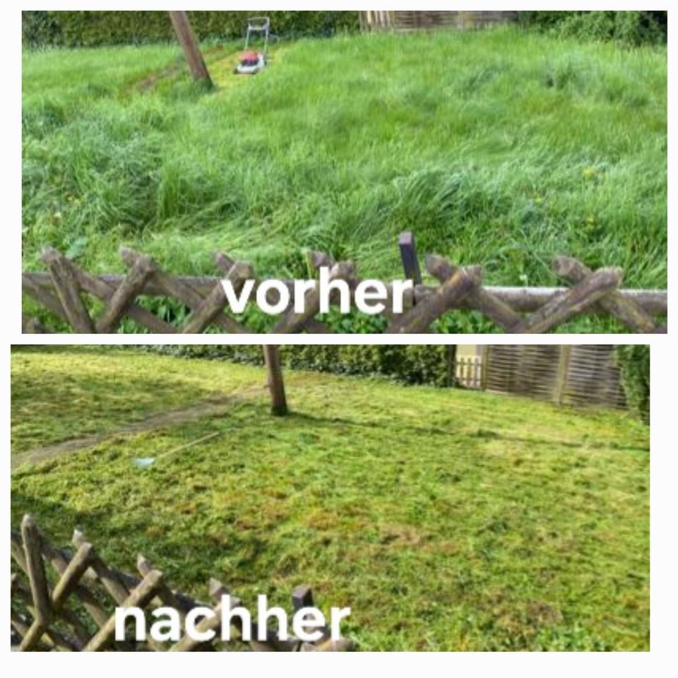 Gartenarbeiten / Heckenschneiden / Rasenmähen / Baumfällung in Saarlouis