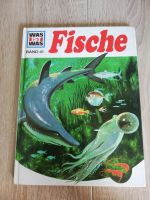Buch was ist was (Fische) Band 41 Schleswig-Holstein - Ahrensburg Vorschau