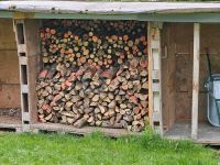 Trockene brenholz buche Baden-Württemberg - Trochtelfingen Vorschau