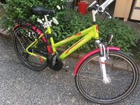 Kinder Fahrrad Mountainbike 26 Zoll Avanti PEGASUS rosa, grün Sachsen - Neukirchen/Pleisse Vorschau