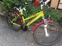 Kinder Fahrrad Mountainbike Mädchen 26 Zoll PEGASUS rosa, grün Sachsen - Neukirchen/Pleisse Vorschau