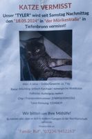 Tyler wird in Tiefenbronn vermisst Baden-Württemberg - Neuhausen Vorschau