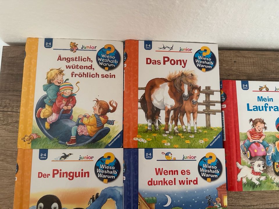 Wieso Weshalb Warum 2-4 Bücher, 4,50€ je Buch in Schornsheim