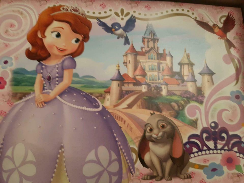 2 x 24 Teile Puzzle ab 4 Jahre prinzessin sofia in Untermerzbach