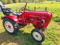 Porsche junior 108K oldtimer Traktor Schlepper Liebhaber Schleswig-Holstein - Bad Oldesloe Vorschau