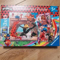 Neues Lady Bug Puzzle Niedersachsen - Lengede Vorschau