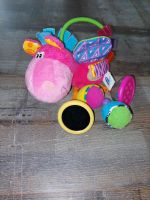 Babyspielzeug #Lernspielzeug #ab1,50€ Sachsen - Crottendorf Erzgebirge Vorschau