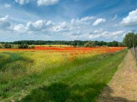 Mitnutzer Ferienhaus Wochenendhaus Uckermark gesucht Schwedt (Oder) - Hohenfelde Vorschau