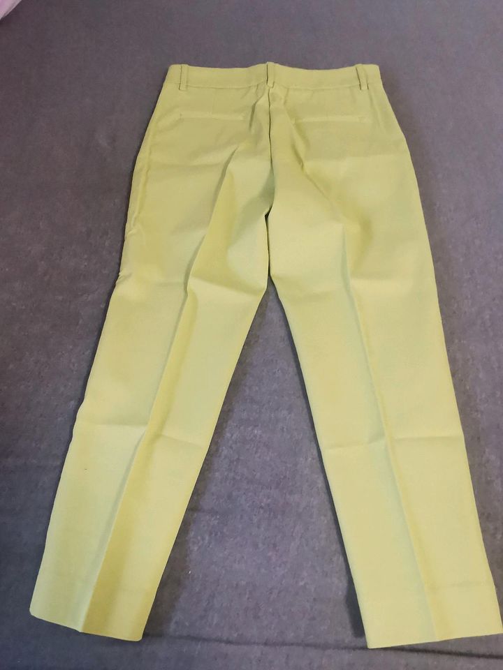 Elegante Damenhose von Next Gr. 36 in Putbus