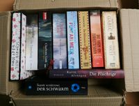Bücherkiste mit 10 Büchern wie neu Link, Gablé, Schätzing Hessen - Erbach Vorschau
