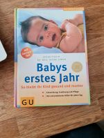 Babys erstes Jahr, praktischer Ratgeber, Babybuch Bayern - Baiersdorf Vorschau