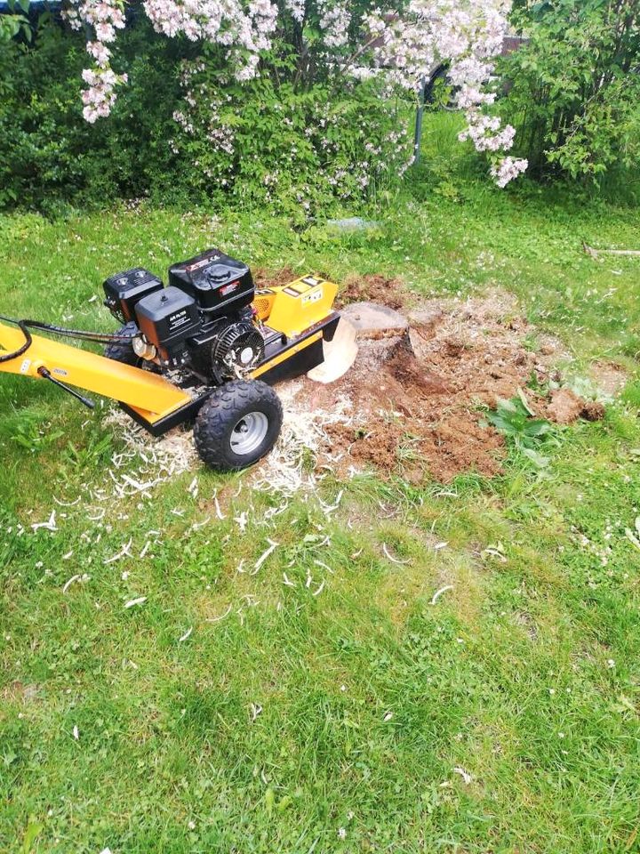 Stumpen fräsen / Wurzelstock entfernen in Trochtelfingen