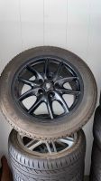 Original Porsche Cayenne Alufelgen 19 Zoll WINTERREIFEN 255/50R19 Baden-Württemberg - Friedrichshafen Vorschau