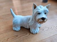 Porzellanfigur West Highland Terrier Hund Porzellan Bayern - Germering Vorschau