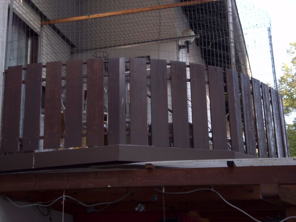 Balkonbretter aus Lärchenholz, ca. 50 Stück in Lich