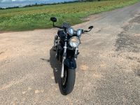 Suzuki Bandit 1200 zu verkaufen Hessen - Felsberg Vorschau