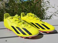 Fussballschuhe Nockenschuhe Adidas Predator 36 2/3 Nordrhein-Westfalen - Schieder-Schwalenberg Vorschau