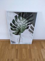 Gerahmtes Poster Monstera Deliciosa Stuttgart - Weilimdorf Vorschau