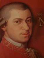 Wolfgang Amadeus Mozart: Gesamtwerk - 170 CDs Rheinland-Pfalz - Mainz Vorschau