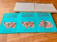 Pernkopf Anatomie Band 1-2NEUWERTIG!Band 3 sehr gut. Osteopathie Berlin - Köpenick Vorschau