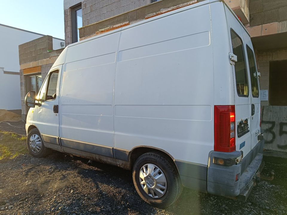 Fiat Ducato in Simmern