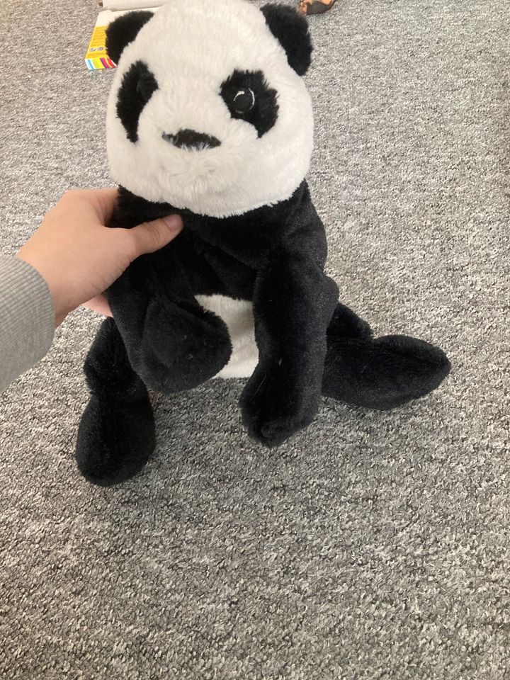 Panda Bär Ikea kramig Stofftier in Bochum - Bochum-Wattenscheid |  Kuscheltiere günstig kaufen, gebraucht oder neu | eBay Kleinanzeigen ist  jetzt Kleinanzeigen