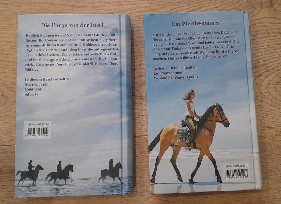 Die Ponys von der Insel, Ein Pferdesommer, Pferdebuch in Traitsching