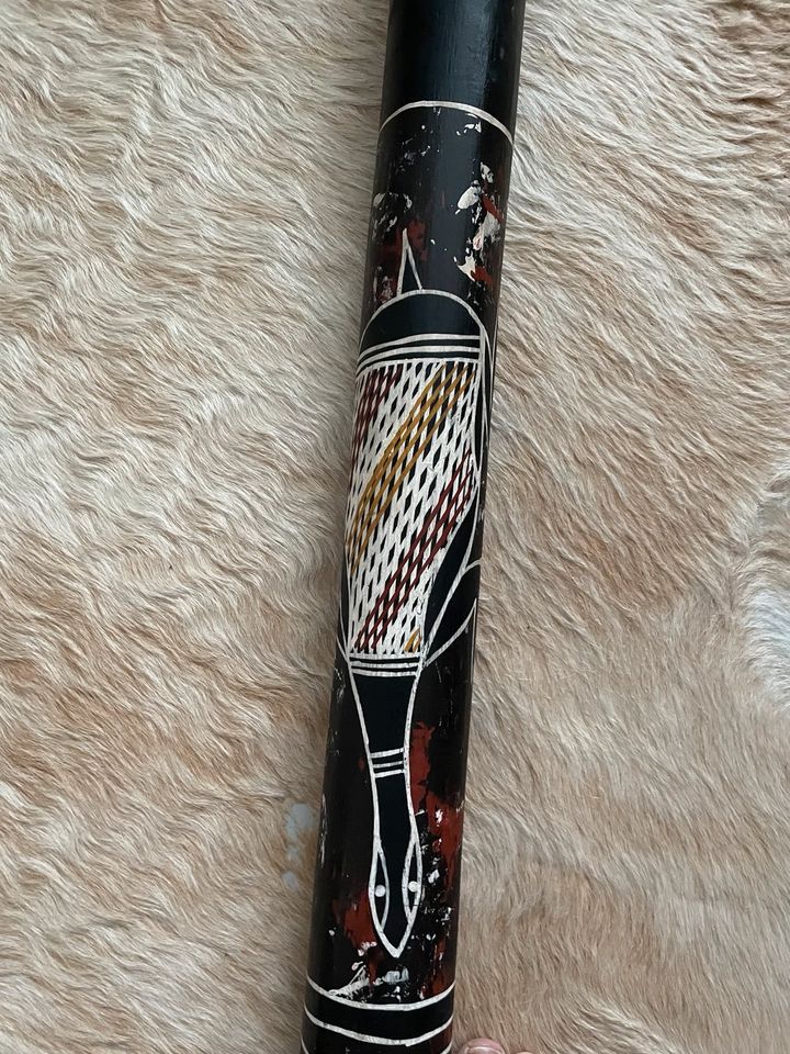 Didgeridoo, termitengefressen, Original Australien, professionell in Hamburg