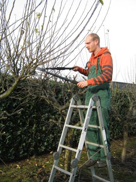 Vertikutieren - Gartenpflege in Halstenbek