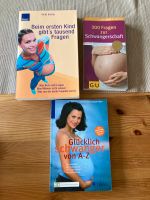 3 Bücher über Schwangerschaft Kreis Pinneberg - Klein Nordende Vorschau