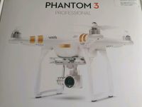 Drohne DJI Phantom 3 Professional Nordrhein-Westfalen - Arnsberg Vorschau