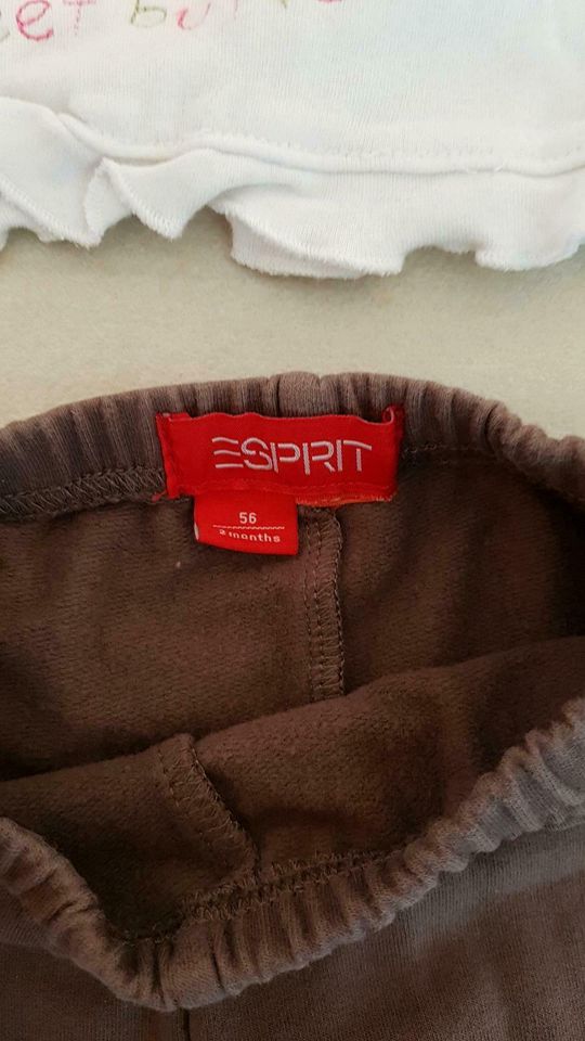 5tlgs Esprit Baby Set Gr 56 Winterjacke-Hose-Leggings-Shirt-Body in Pollenfeld