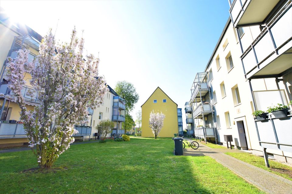 Vermietung Immobilien Haus Wohnung / Makler Immobilienmakler in Oranienbaum-Wörlitz