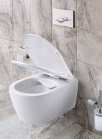 Design Hänge-WC Spülrandlos mit Softclose Deckel nur 149,99 EUR Nordrhein-Westfalen - Lüdenscheid Vorschau