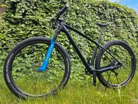 VPACE C3M 29" Carbon Hardtail, Gr. M, SID, XTR, Zeal Nordrhein-Westfalen - Schlangen Vorschau