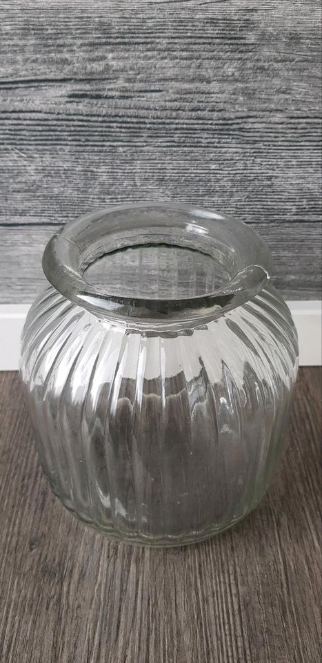 Dekoglas Vase Pampas Bonbonglas in Krefeld