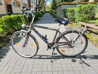 Fahrrad Giant Herren 28 Zoll Pankow - Weissensee Vorschau