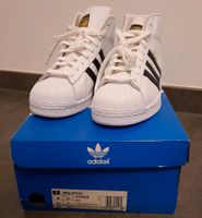 Adidas Schuhe Pro Model Gr. 41 NEU Niedersachsen - Hessisch Oldendorf Vorschau