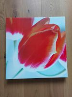 Tulpen Bild, Ikea Nordrhein-Westfalen - Werther (Westfalen) Vorschau