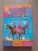 Hanna und der Professor Ein Pony tanzt aus der Reihe Schleswig-Holstein - Handewitt Vorschau