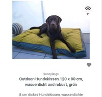 Outdoor Hundebett, großes Hundekissen xxl Nordrhein-Westfalen - Brilon Vorschau