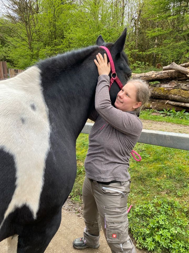 Osteopathie für Pferde/Ponys in Halver