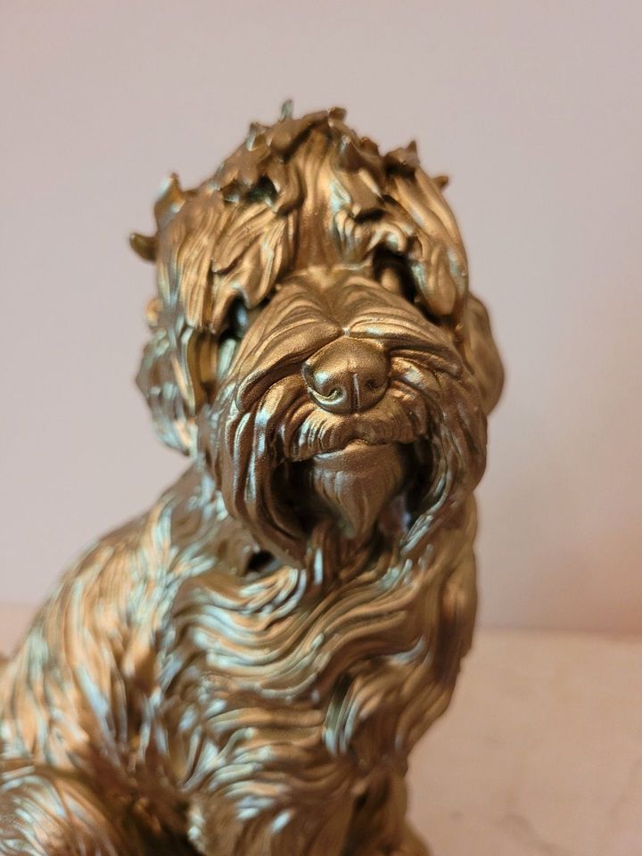 Figur Hund Labradoodle Goldfarbe Polyresin 23 cm NEU in Bissendorf