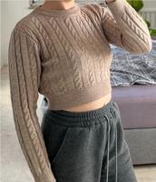SHEIN Prive Crop Pullover mit zopfstrick Schleswig-Holstein - Plön  Vorschau