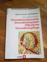 Buch Grundwissen Gesundheitsökonomie Public Health Bayern - Kinding Vorschau