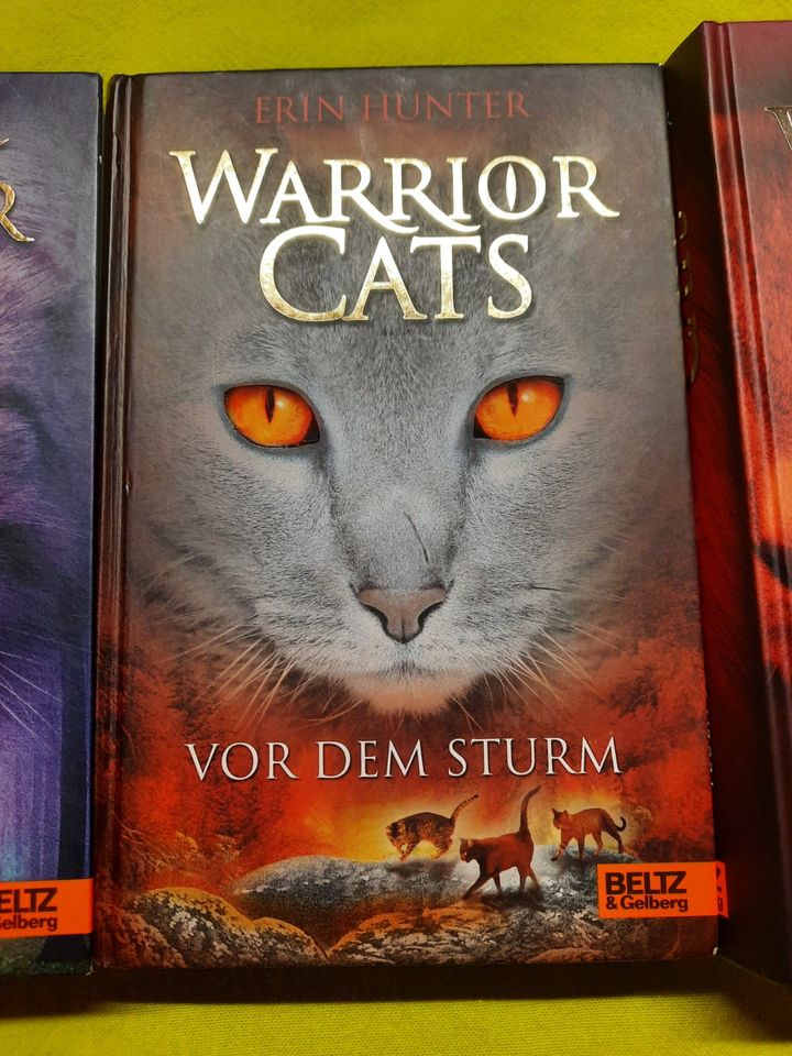 4 Bücher der Serie - Warrior Cats - Katzen in Plettenberg