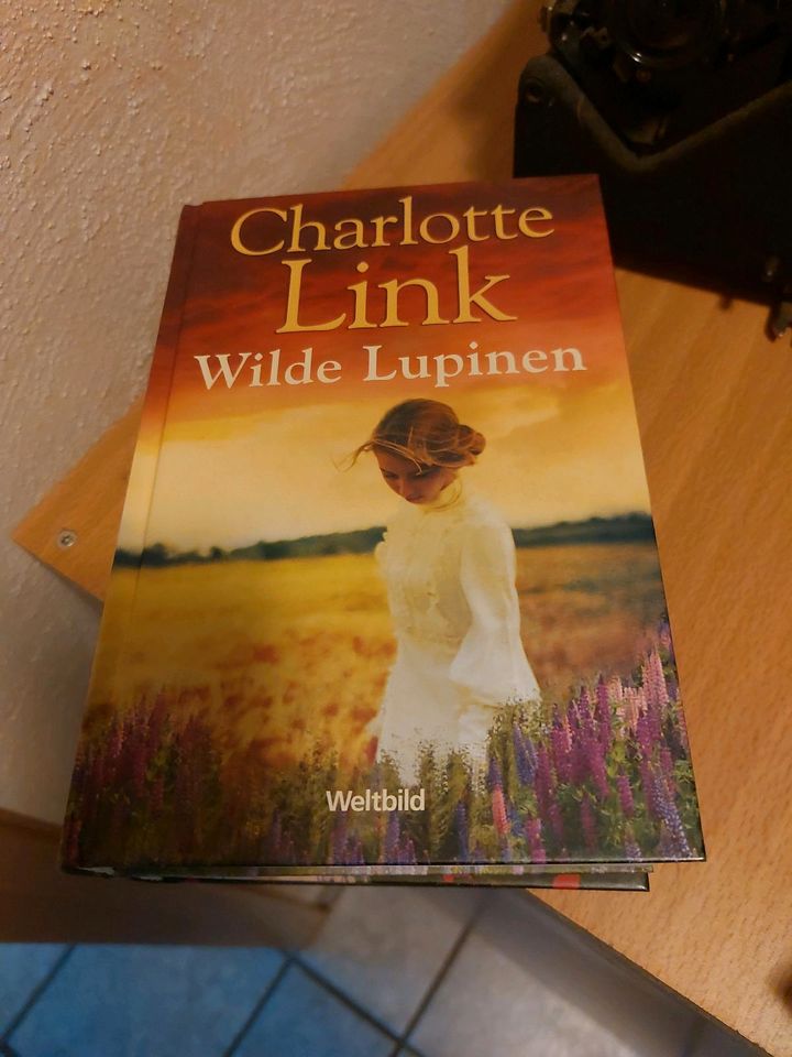 Charlotte Link Buch Bücher Paket in Pottum