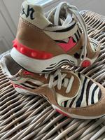 ASH Sneaker Zebra Leo Fell Leder Schuhe 37 neuw.Stern Neon Nordrhein-Westfalen - Kirchlengern Vorschau