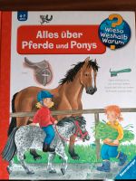 Wieso Weshalb Warum Alles über Pferde und Ponys Nordrhein-Westfalen - Extertal Vorschau