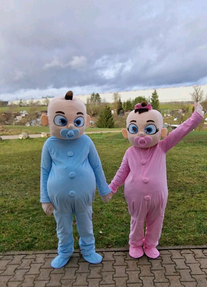 Maskottchen Babys/Kostüme  Gender Reveal Party.Verleih nur 35 €. in Ehingen (Donau)